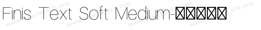 Finis Text Soft Medium字体转换